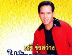 เสรี รุ่งสว่าง - ไปบ้านคุณอา (320KBpS)