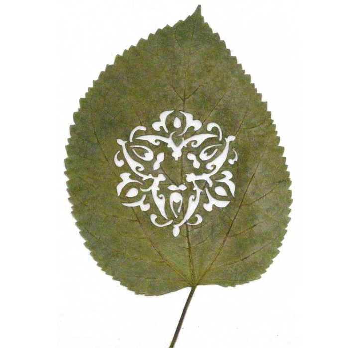 Leaf6.jpg