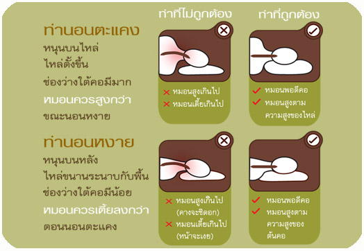 นอนหงาย.jpg