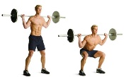 Barbell squat.jpg