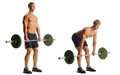 Barbell straight-leg.jpg