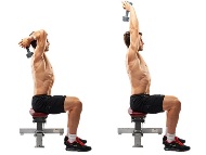 Seated dumbbell overhead.jpg