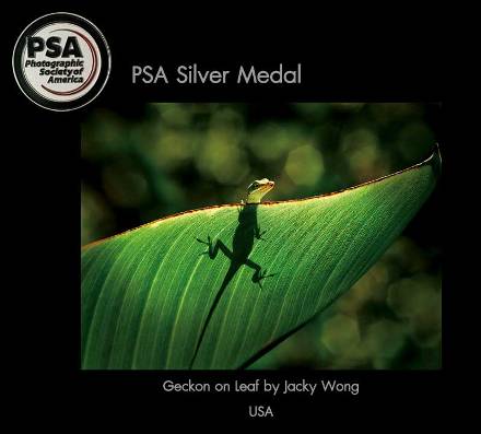 11Nature-Silver-Medal-PSA.jpg