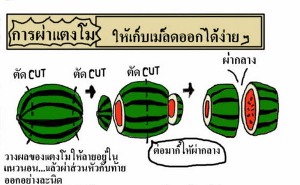 ผ่าแตงโม.jpg