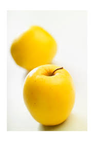 แอปเหลือง.jpg