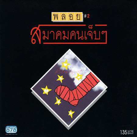 วงพลอย - Vol.2 สมาคมคนเจ็บๆ (320KBpS)