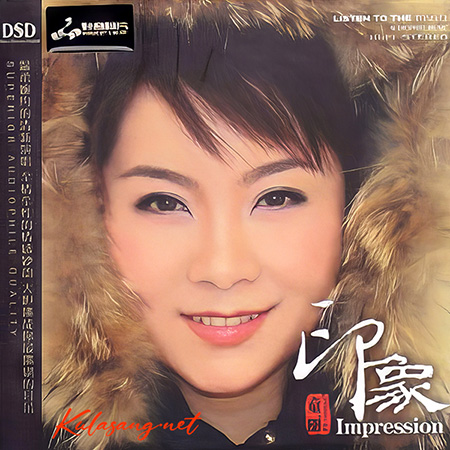 Tong Li - Impression (FLAC)