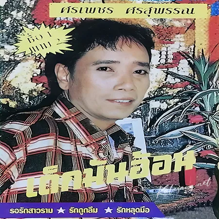 ศรเพชร ศรสุพรรณ - เด็กมันอ้อน (320KBpS)