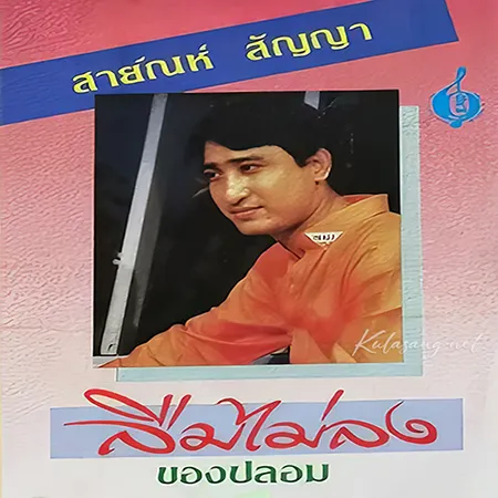 สายัณห์ สัญญา - ลืมไม่ลง (128KBpS)