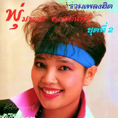 พุ่มพวง ดวงจันทร์ - รวมเพลง 2 (FLAC)