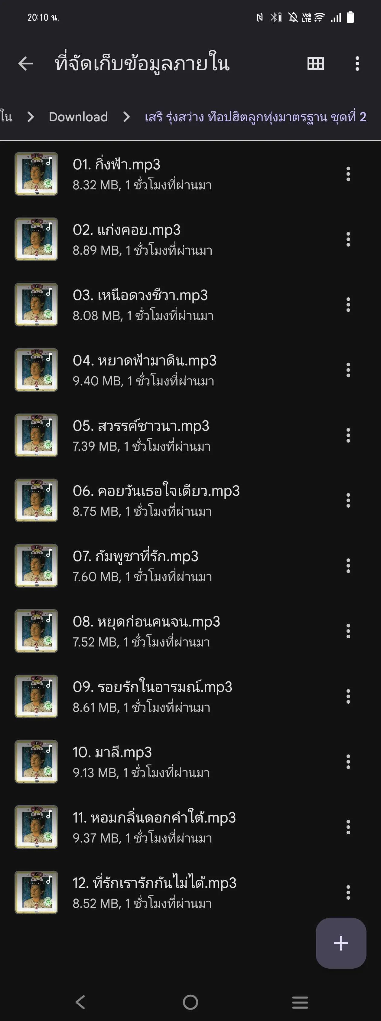เสรี รุ่งสว่าง ท็อปฮิตลูกทุ่งมาตรฐาน ชุดที่ 2 (320kbps)