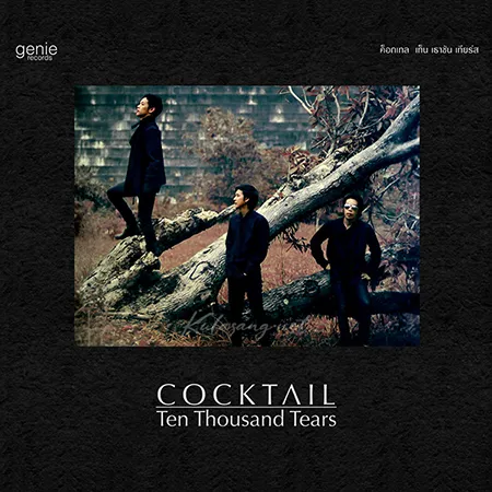 Cocktail - Vol.4 Ten Thousand Tears (FLAC)
