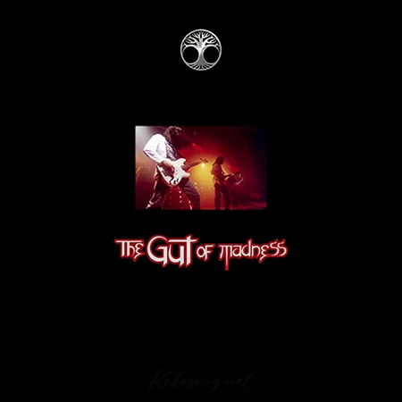 The Gut Of Madness - 20 ปีแห่งความบ้าคลั่ง (320KBpS)