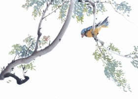 ภาพวาดภู่กันจีน สวยงามมาก ชุดนกกับดอกไม้ 6