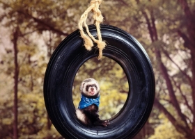 Wallpaper 3 D Part 1