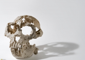 National Geographic  Collection WallPapers  43