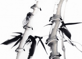 ภาพวาดภู่กันจีน สวยงามมาก ชุด แมลง 1