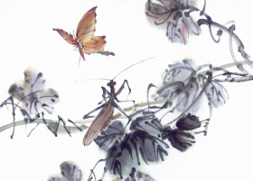 ภาพวาดภู่กันจีน สวยงามมาก ชุด แมลง 2