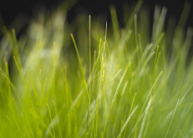 Interested  Wallpapers 9