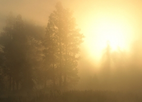 Sunrises Scenes HQ Wallpaper 2