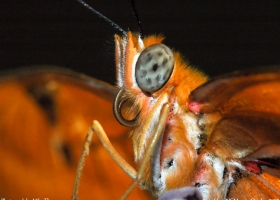 National Geographic  Collection WallPapers  24