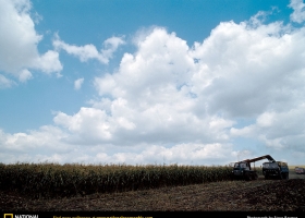 ภาพจาก National  Geographic 4