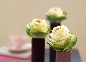 เพิ่มสีเขียวในบ้านให้สดชื่น  2