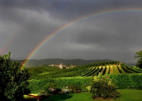 สายรุ้งทอแสง -2-