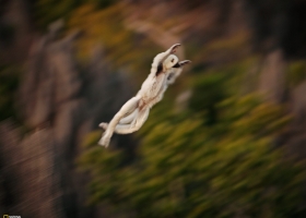 National Geographic Wallpapers Collection 2009 -9