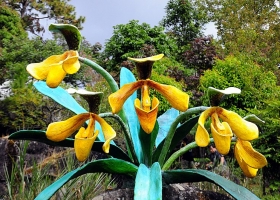 ภาพดอกไม้สวย ๆ