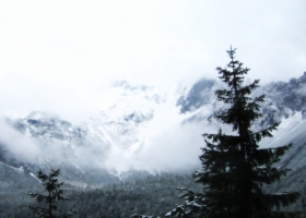 Beautiful Winter Wallpapers 3