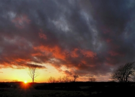 Wonderful Nature Wide Screen Wallpapers 16