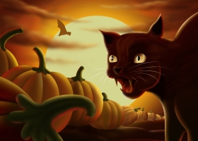 Computer Desktop Wallpapers Collection 12