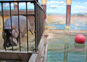 New National Geographic Wallpapers 6