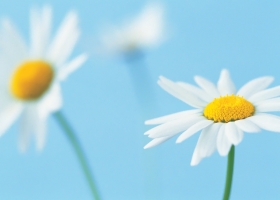 Impressive Computer Desktop HQ Wallpapers 3