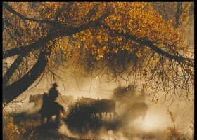 ภาพจาก National  Geographic 5