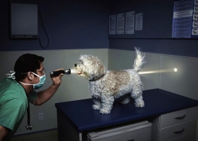 Creative Wallpapers 5