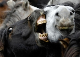 Best Photos From The Natural World 1