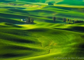 สีสันต์ของธรรมชาติ