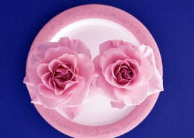 Beautiful Flowers Wallpapers 18