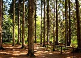 Wonderful Nature Wide Screen Wallpapers 10