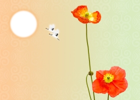 Beautiful Flowers Wallpapers 44