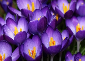 HD Pack Beautiful Wallpapers 6