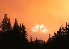 Nature Scenes HQ Wallpaper 1