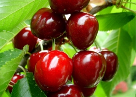 2012  Wallpapers HD  3