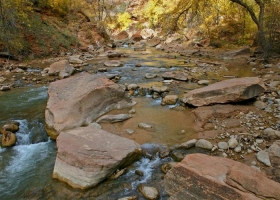 Wonderful Nature Wide Screen Wallpapers 7