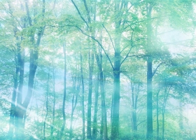 HD Pack Beautiful Wallpapers 7