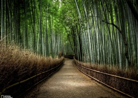 New National Geographic Wallpapers 9