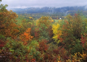 Fall Colors Scenes HQ Wallpaper 3