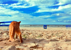 National Geographic  Collection WallPapers  35